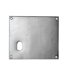 Union Push Plate 178mm Oval LH SS