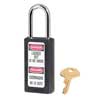 Master Safety locks 411