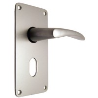 Union Waterbok Door Furniture 76mm Plate Oval AS