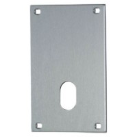Union 5063 Push Plate 76mm Oval SS